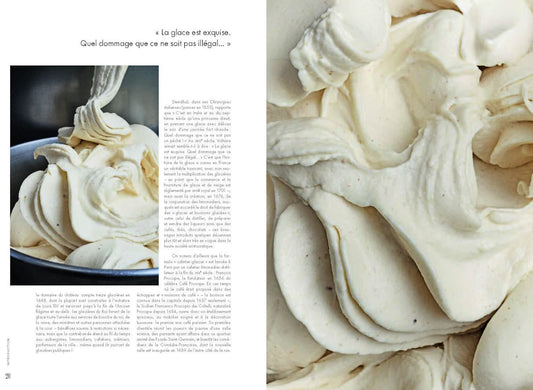 Givré: L'art de la pâtisserie glacée en 60 recettes